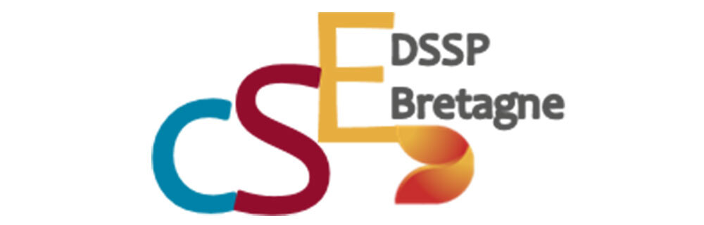 CSE DS Smith - Logo